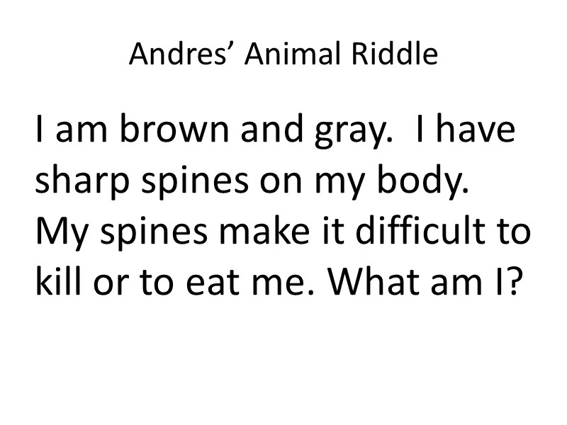 Andres’ Animal Riddle I am brown and gray.  I have sharp spines on